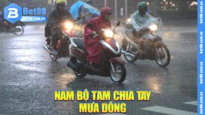 Nam Bộ Tạm Chia Tay Mưa Dông: Thời Tiết “Hạ Hỏa”, Cuộc Sống Dễ Thở Hơn