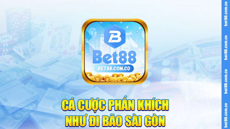 Cá cược phấn khích như đi bão Sài Gòn