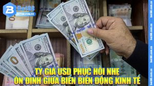 Tỷ Giá USD Phục Hồi Nhẹ: Tín Hiệu Ổn Định Giữa Biển Biến Động Kinh Tế