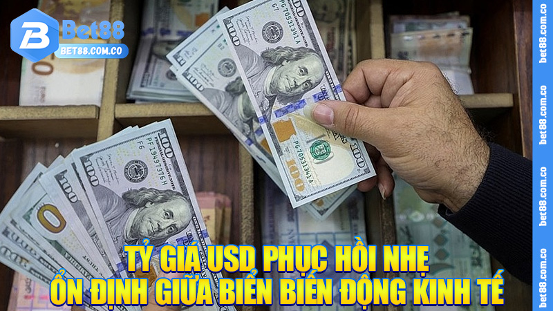 Tỷ Giá USD Phục Hồi Nhẹ: Tín Hiệu Ổn Định Giữa Biển Biến Động Kinh Tế