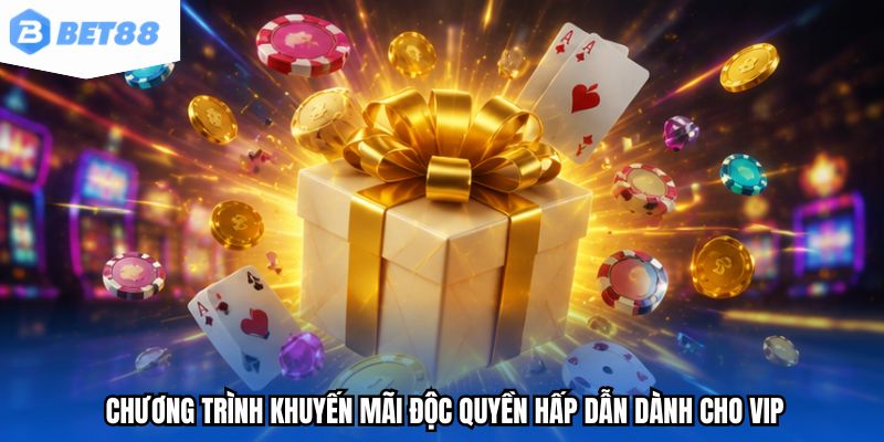 Chương trình khuyến mãi độc quyền hấp dẫn dành cho VIP