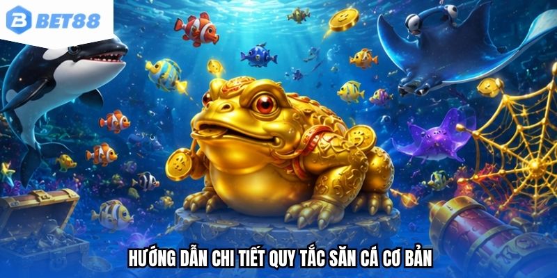 Hướng dẫn chi tiết quy tắc săn cá cơ bản